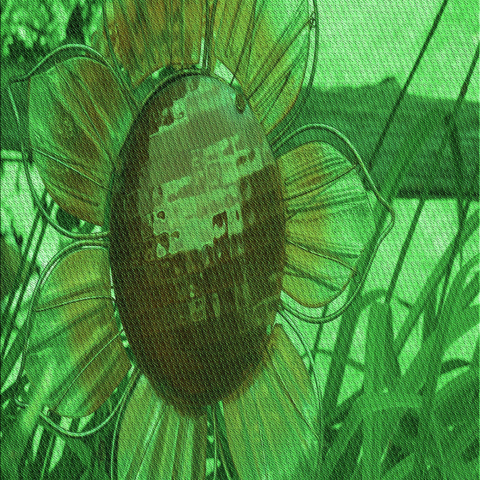 Patterned Green Rug, pat3966grn