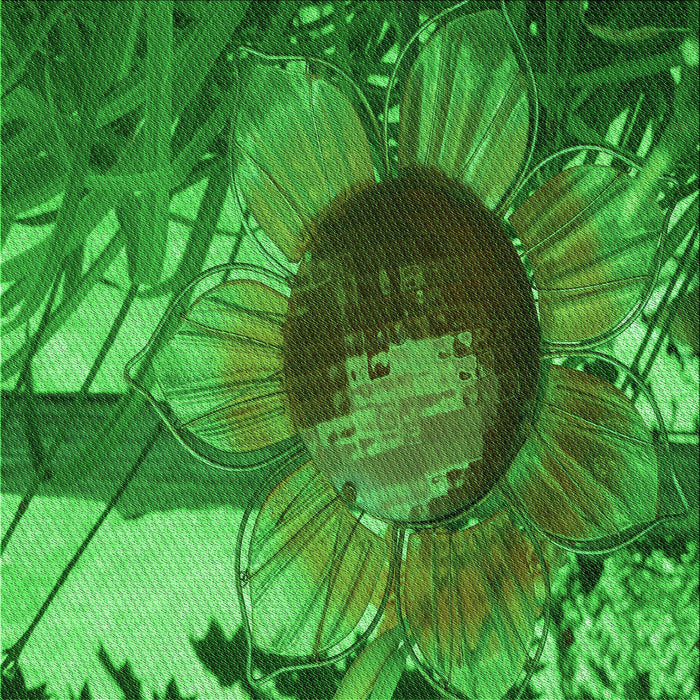 Round Machine Washable Transitional Green Rug, wshpat3966grn