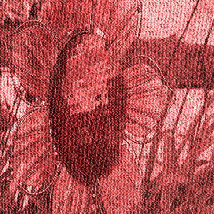 Patterned Red Rug, pat3966rd