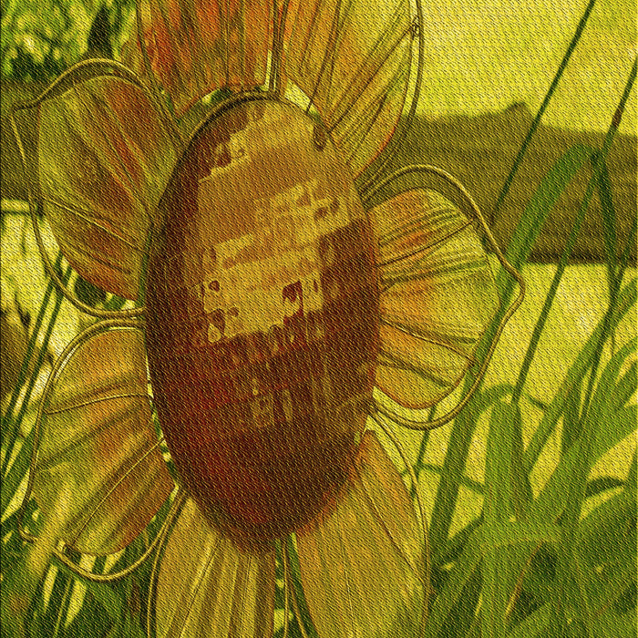 Patterned Dark Bronze Brown Rug, pat3966yw