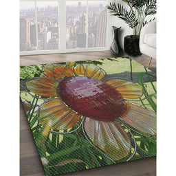 Patterned Copper Green Novelty Rug in Family Room, pat3966