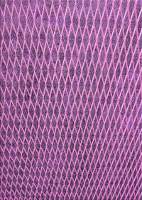 Machine Washable Transitional Dark Magenta Purple Rug, wshpat3967pur