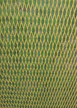 Machine Washable Transitional Army Green Rug, wshpat3967