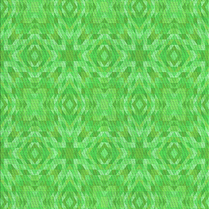 Machine Washable Transitional Lime Green Rug, wshpat3969grn