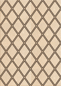 Machine Washable Transitional Copper Brown Rug, wshpat397org