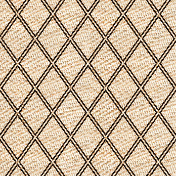Machine Washable Transitional Copper Brown Rug, wshpat397org