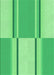 Patterned Green Rug, pat3970grn