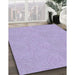 Machine Washable Transitional Purple Mimosa Purple Rug in a Family Room, wshpat3974blu