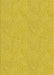 Machine Washable Transitional Yellow Rug, wshpat3974