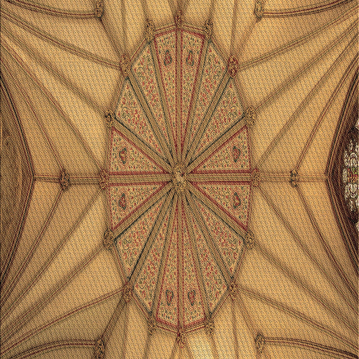 Machine Washable Transitional Mahogany Brown Rug, wshpat3976brn