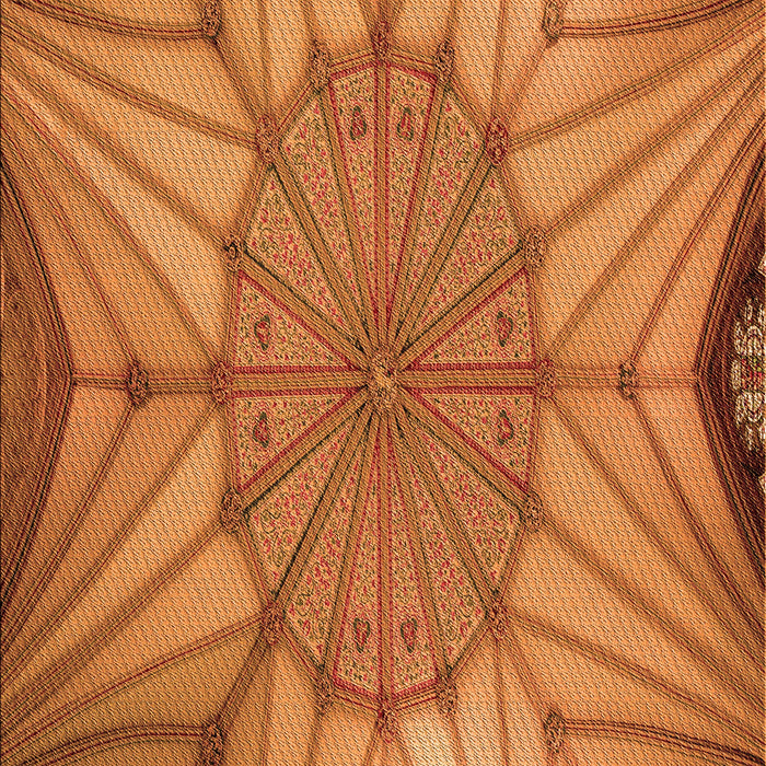 Machine Washable Transitional Orange Rug, wshpat3976org