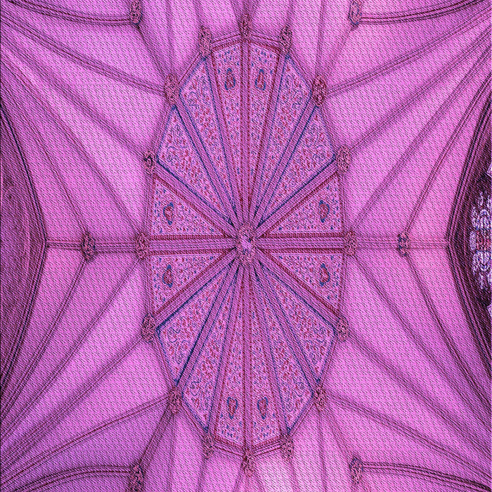 Patterned Bright Neon Pink Purple Rug, pat3976pur