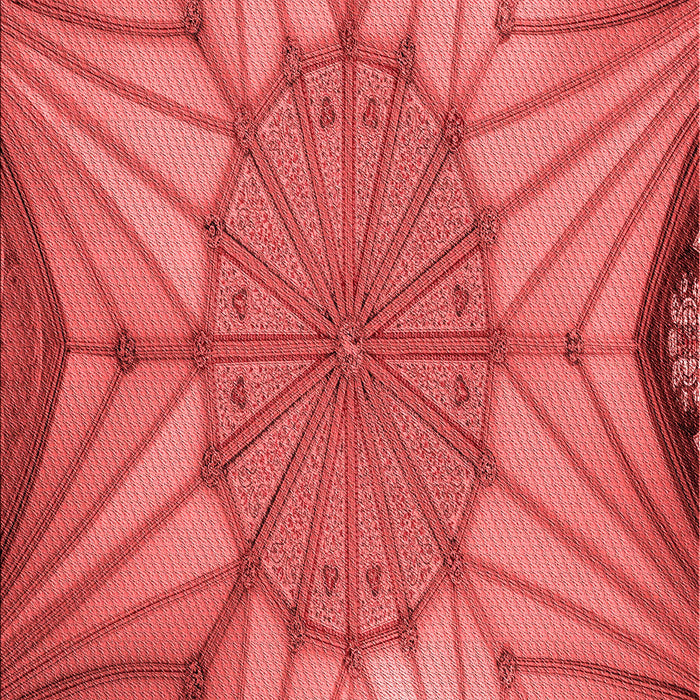 Patterned Red Rug, pat3976rd