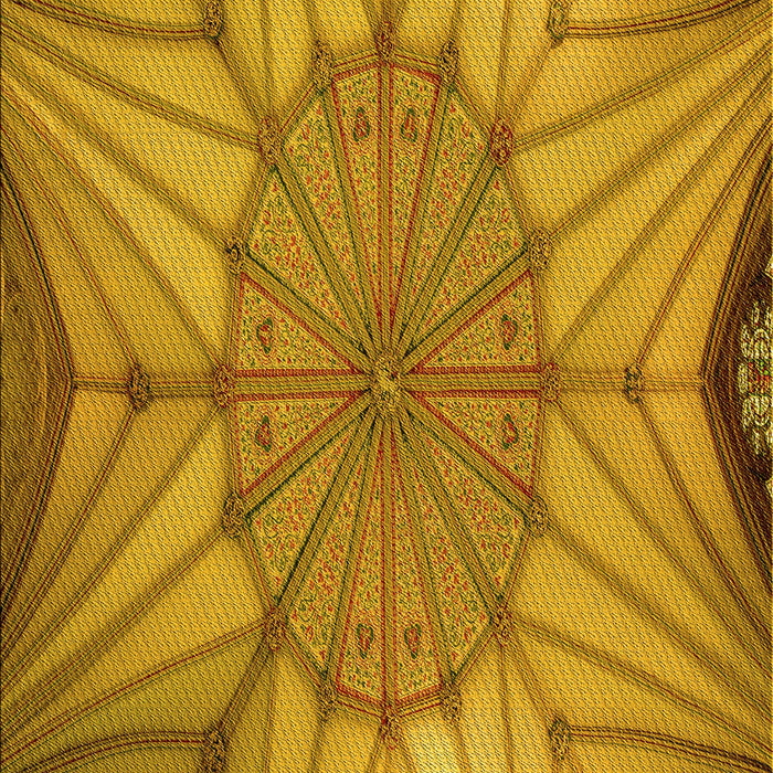 Machine Washable Transitional Mahogany Brown Rug, wshpat3976yw