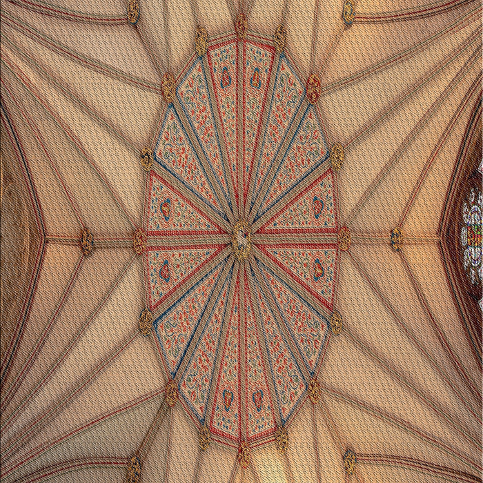 Machine Washable Transitional Dark Sienna Brown Rug, wshpat3976