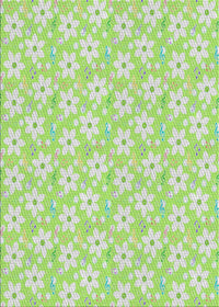 Machine Washable Transitional Tea Green Rug, wshpat3978