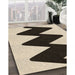 Machine Washable Transitional Vanilla Gold Rug in a Family Room, wshpat3980brn