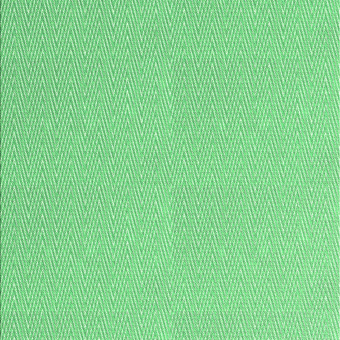 Machine Washable Transitional Jade Green Rug, wshpat3986grn