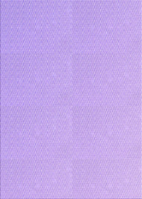Machine Washable Transitional Purple Rug, wshpat3986pur