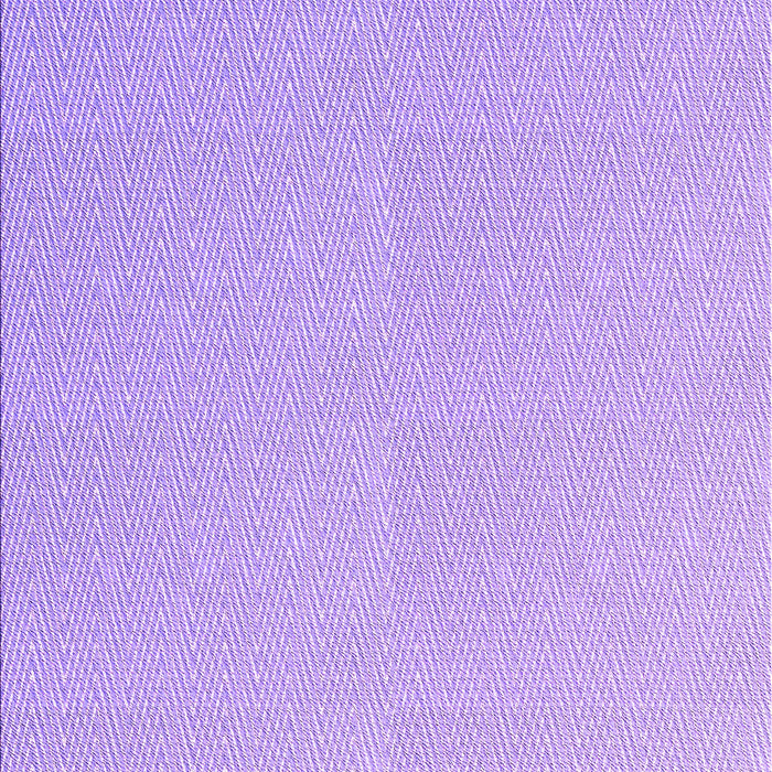 Machine Washable Transitional Purple Rug, wshpat3986pur