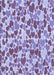 Patterned Purple Violet Purple Rug, pat4blu