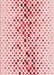 Machine Washable Transitional Light Rose Pink Rug, wshpat401rd