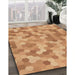 Machine Washable Transitional Orange Rug in a Family Room, wshpat402brn