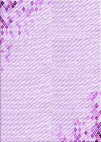 Machine Washable Transitional Violet Purple Rug, wshpat412pur