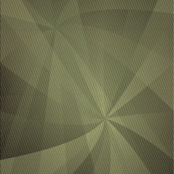 Machine Washable Transitional Army Green Rug, wshpat419brn