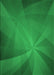 Patterned Green Rug, pat419grn
