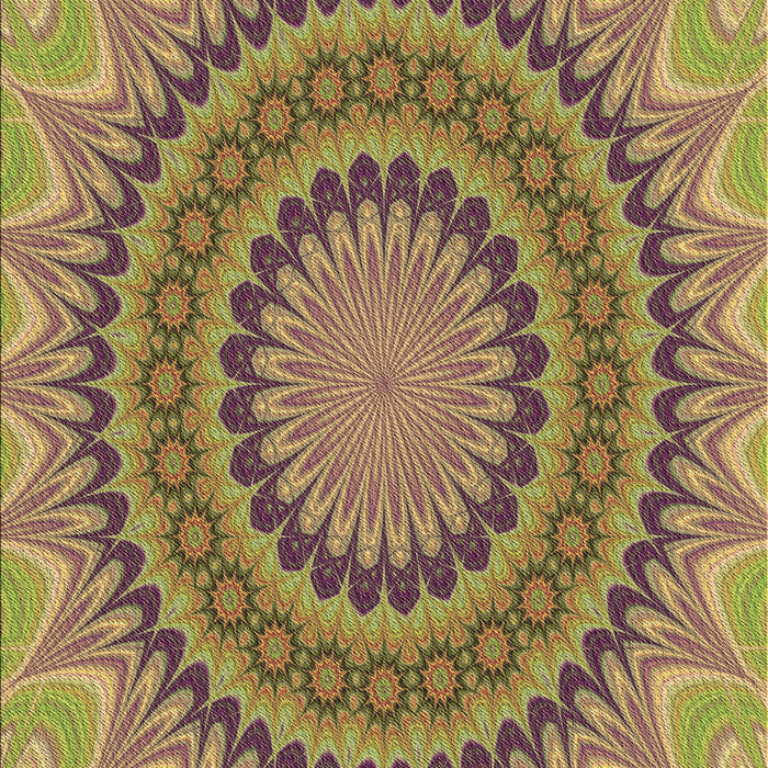 Machine Washable Transitional Sienna Brown Rug, wshpat420brn