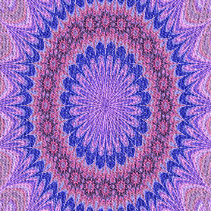 Machine Washable Transitional Purple Rug, wshpat420pur