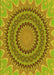 Patterned Green Rug, pat420yw