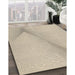 Machine Washable Transitional Dark Almond Brown Rug in a Family Room, wshpat423brn