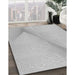 Machine Washable Transitional Platinum Gray Rug in a Family Room, wshpat423gry