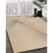 Machine Washable Transitional Bronze Brown Rug in a Family Room, wshpat423org