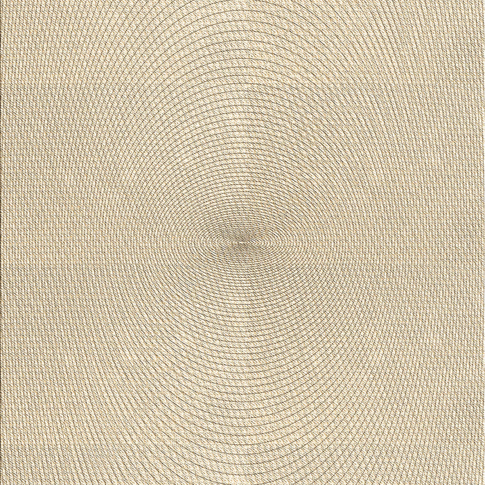 Machine Washable Transitional Wheat Beige Rug, wshpat424brn