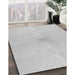 Machine Washable Transitional Platinum Gray Rug in a Family Room, wshpat424gry