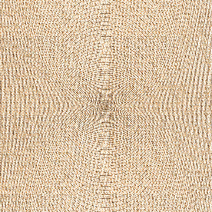 Machine Washable Transitional Brown Sand Brown Rug, wshpat424org