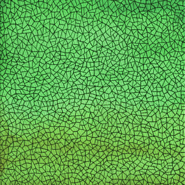 Patterned Green Rug, pat438grn