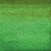 Round Machine Washable Transitional Green Rug, wshpat438grn