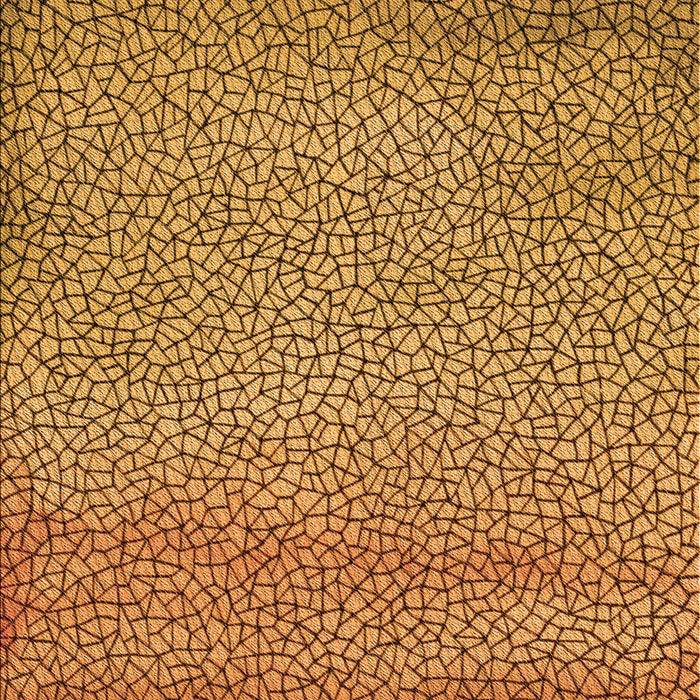 Patterned Mahogany Brown Rug, pat438org