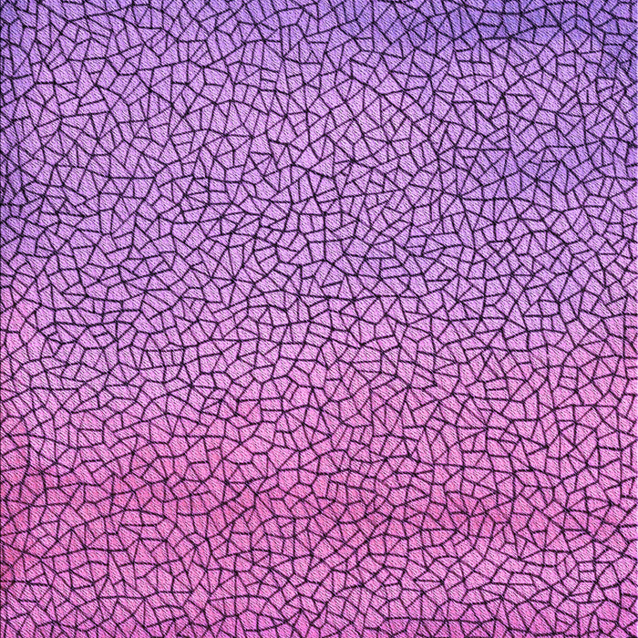 Machine Washable Transitional Dark Magenta Purple Rug, wshpat438pur