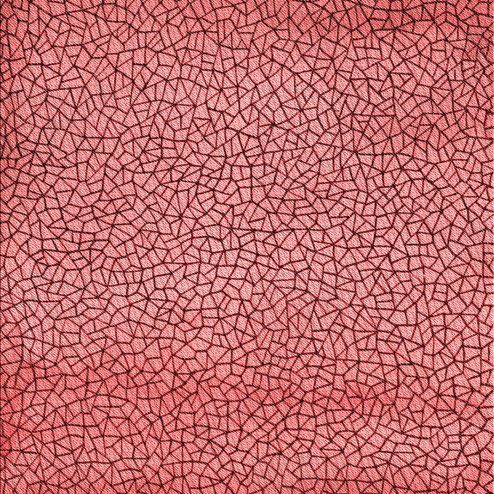 Machine Washable Transitional Red Rug, wshpat438rd