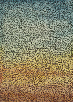 Machine Washable Transitional Dark Brown Rug, wshpat438