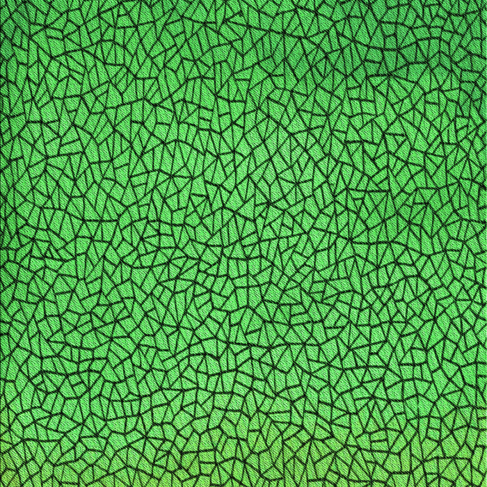 Patterned Green Rug, pat439grn