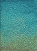 Patterned Bright Turquoise Blue Rug, pat439lblu