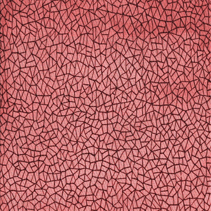 Patterned Red Rug, pat439rd