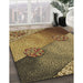 Patterned Golden Gold Rug in Family Room, pat440brn