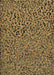 Patterned Bakers Brown Rug, pat441brn